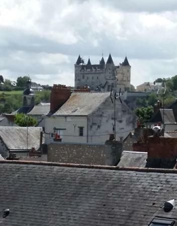 Appt 2Eme Etage Sur L'Ile De Saumur Buitenkant foto