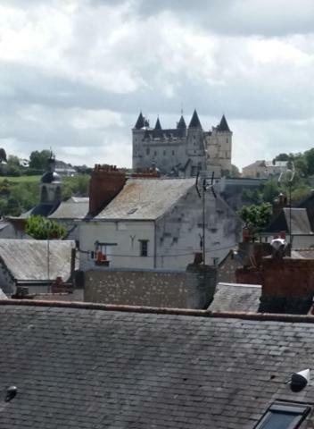 Appt 2Eme Etage Sur L'Ile De Saumur Buitenkant foto